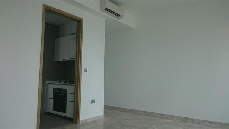 Skyline Residences (D4), Condominium #165203022
